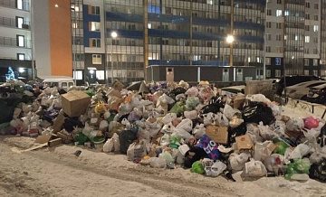 Блокадница назвала недостатки мусорной реформы в Петербурге