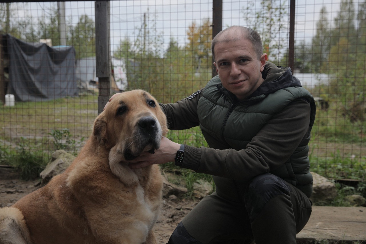 «Закон направлен против тех, кто использует животных для заработка»: депутат Михаил Романов о приютах для бездомных зверей