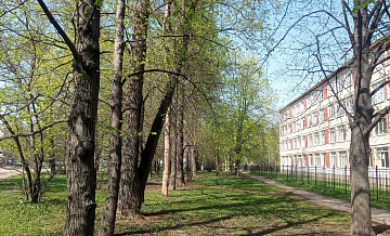 Петербуржцы собрали 4 тысячи подписей за сохранение сквера возле школы № 121 — СМИ
