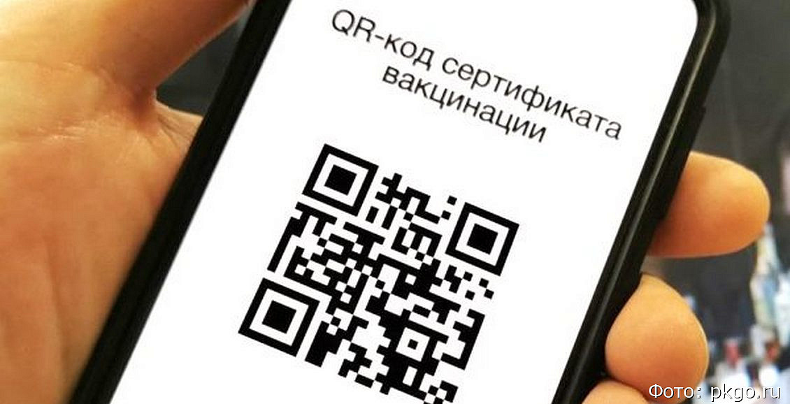 В России хотят переименовать документы с QR-кодом