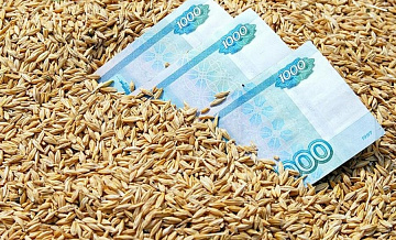 Россия может ввести минимум экспортной цены для вывоза зерна