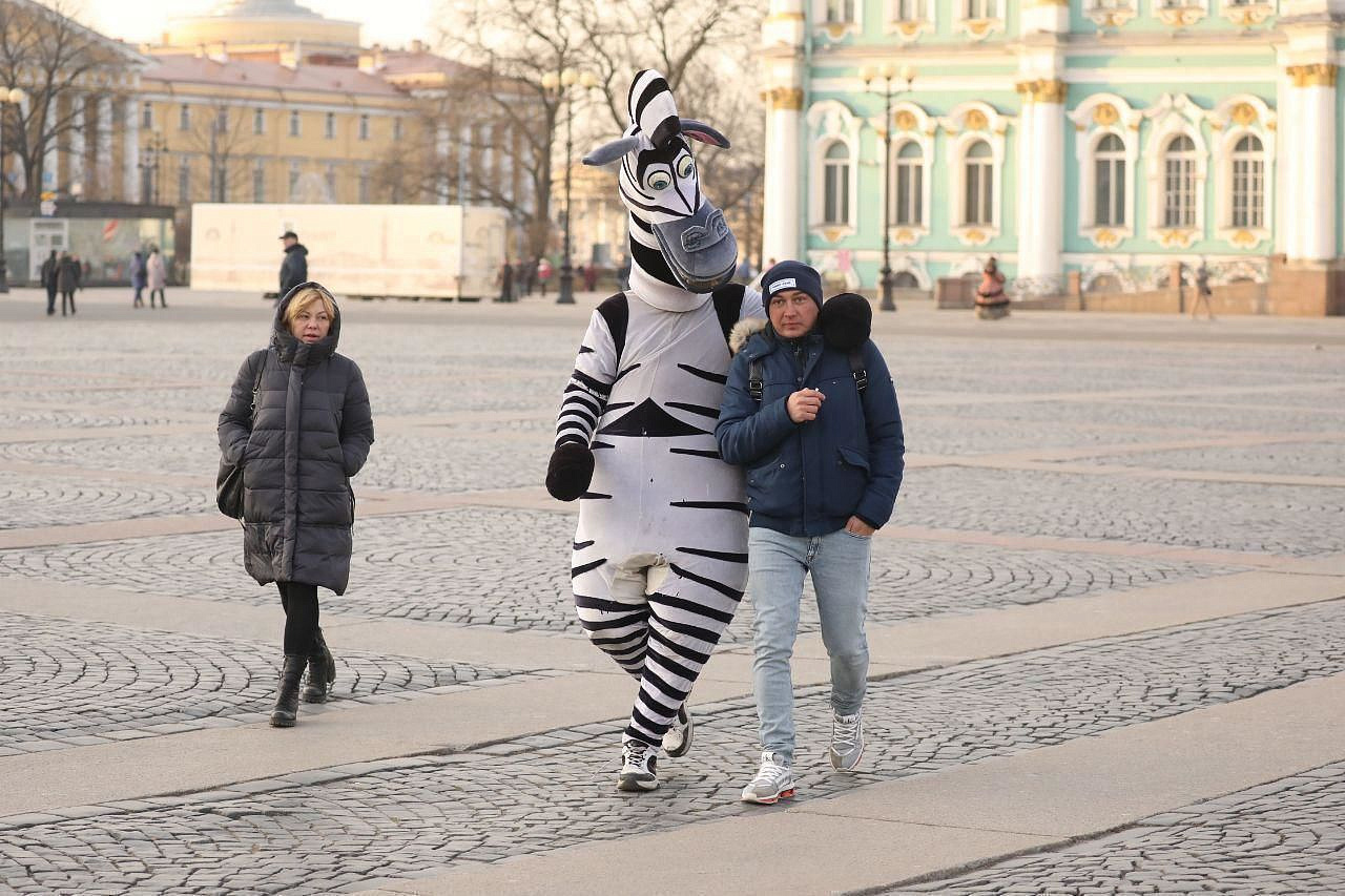 Туристы Петербурга становятся жертвами аниматоров-мошенников в костюмах зебр и императоров