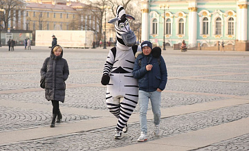 Туристы Петербурга становятся жертвами аниматоров-мошенников в костюмах зебр и императоров